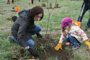 Allison Hall and her daughter Frances Crossley were working hard to get this tree planted.