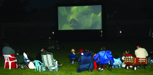 NICE NIGHT FOR MOVIE IN THE PARK The weather was great Friday night for outdoor movie goers taking in the show at Inglewood Park. The movie was Babe, the 1995 film which tells the story of a pig who wants to be a sheepdog. Photo by Bill Rea