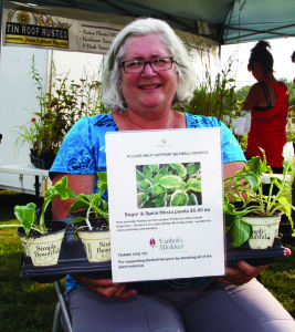 FUNDRAISER FOR HOSPICE Audrey Partridge, a volunteer with Bethell Hospice, was taking part at a fund-raising effort recently at Inglewood Farmers' Market. She was selling Hostas donated by Vanhof and Blokker. Photo by Bill Rea