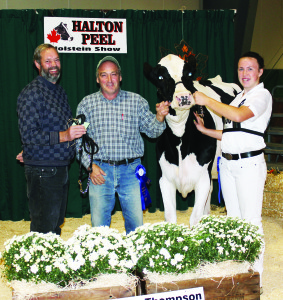 Bolton area resident Nicole French showed this Holstein owned by Roy Westlake. Elegant, a senior yearling, was named best bred and owned senior yearling. They are seen here with class sponsor Jim Armstrong of Monteith Holsteins.