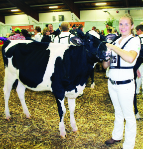 The weekend saw the 155th edition of the Bolton Fall Fair, put on by the Albion and Bolton Agricultural Society. Although the weather could have been better (especially Saturday), the weekend still attracted a good crowd of people out for fun and learning. Kori deBoer won the award for showmanship among Bolton club members Saturday at Bolton 4-H Dairy Calf Club Achievement Day.