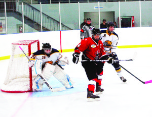 Golden Hawks' goalie Chris Vellucci looks for the shot during the third period of Sunday night's game against the Orillia Terriers. The Hawks left the ice with a 5-2 win. Photo by Brian Lockhart