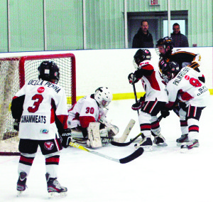 The Caledon Hawks Atom A team battled it out against the squad from Burlington during minor hockey action at Caledon East. The Hawks produced a solid effort on the ice despite coming up short and taking a 3-1 loss to the visitors. Photos by Brian Lockhart