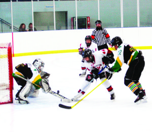 The Caledon Hawks minor peewee A team took on the Hespeler Shamrocks during minor hockey action at Caledon East Sunday. The Hawks left the ice with a 6-1 win over the Hespeler squad.