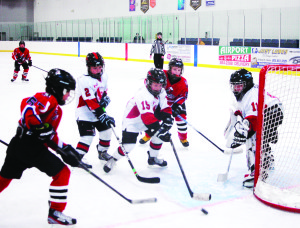 The Caledon Hawks minor atom AA team battled it out with the squad from Halton Hills Sunday at Caledon East. The Hawks suffered a 2-1 loss in their final regular season game. Photo by Brian Lockhart