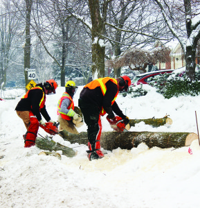 Crews from the Ministry of Natural Resources were hard at work Friday cleaning up trees that fell during the recent ice storm on Longwood Drive in Bolton. Photo by Bill Rea