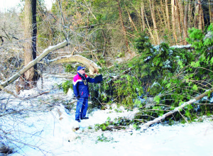 BE VERY CAREFUL ON TRAILS The Christmas ice storm caused heavy damage on the Humber Valley Trail. Especially hard hit was the very popular section just north of Bolton, beginning at the Glasgow trail head. Trail Association President Jerry Gorman is urging trail users to exercise extreme caution if they choose to use it. The Humber Valley Heritage Association, which operates the trail under a licence agreement with the Toronto and Region Conservation Authority, met to discuss measures which they could reasonably implement. It's expected that completely cleaning up the trail will take some time. Photo submitted