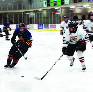 Caledon Golden Hawks' forward Steve Zeppieri charges for the puck in front of the Schomberg Cougars' goal during last Thursday night's GMOHL game in Schomberg. The Hawks lost 5-2, but won their next game at home against Midland Sunday. Photo by Brian Lockhart