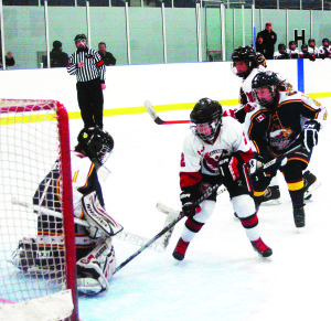 The Caledon Hawks minor peewee A team battles against the Burlington Eagles at Caledon East arena. The Hawks were playing their final match of the season and put out a huge effort late in the game, but couldn't tie it up and had to settle for a 5-4 loss. Photo by Brian Lockhart