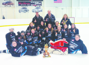 The Caledon Coyotes bantam HL team, sponsored by Style Auto, claimed the division championship with a 2-1 win over the Stackpole International team. Submitted photo