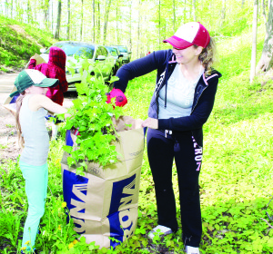 VOLUNTEERS PULL OUT GARLIC MUSTARD IN BELFOUNTAIN Garlic mustard is an invasive species that must be pulled from the ground, so there were plenty of people out Saturday to assist Credit Valley Conservation in doing just that. The main effort took place at Caledon Ski Club, and the helpers included a number of students from Belfountain Public School. Grade 4 student Nicoletta Fokas and her mother Stacey were stuffing this bag. Photo by Bill Rea