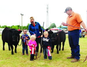 There were three entries Sunday morning in the Nine and Under Beef Show class. Gus Reid, 4, of Moorefield showed Black Cherry, while Shelley Martin assisted her niece Kayla Ross, who's almost 2, from Grand Valley in showing Bubble Gum and Scott Martin helped his nephew Tyler, 3, with Prince. The competition ended in a three-way tie.