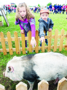 Area and Noah Trueman of Caledon East were trying to make friends with this pot bellied pig named Arnold, who was attending the festivities from Teen Ranch.