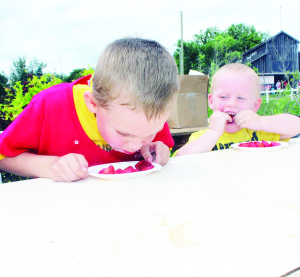 The Strawberry Eating contest provided a messy time for lots of youngsters. Nikolas McConkey of Brampton was in the heat of competition, but his brother Alexander, 3, hadn't quite grasped that he wasn't supposed to use his hands.