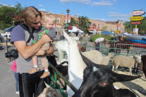The petting zoo attracted lots of attention Steve Gottschling of Bolton gave 18-month-old Cooper a boost so he could get to know some of the goats.