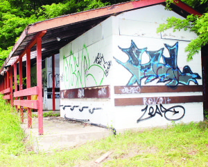 The numerous cabins on the Bolton Camp property have had graffiti added over the years.