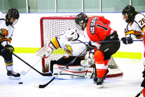 Sam Procopio makes one of his 23 saves on 27 shots against the Midland Flyers. The Hawks fell to the Flyers 4 - 3 in overtime Sunday. Photo by Jake Courtepatte