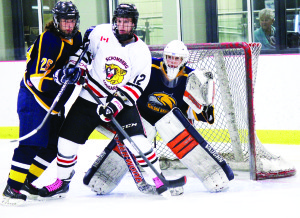 Hawk goalie James Cyfko tries to peek around a screen from Cougar Brandon Savoy and Caledon teammate Alex Palumbo last Thursday in Schomberg. The Hawks dropped the game 10 - 2, but bounced back with back-to-back wins. Photo by Jake Courtepatte