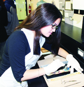 Grade 12 student Erica D'Alessandro was demonstrating the dissecting of a frog in the science section.