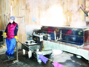 Environmental Educator Kristen Martyn was in the sugar shack, explaining “the modern way” of making syrup.