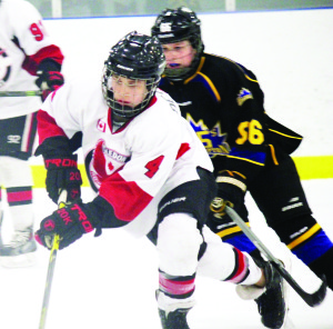 The minor bantam AE Hawks were one of six Hawks teams to reach the Tri-Country finals this season. They lost the first-to-six series 7 - 5 to the Brampton 45s.