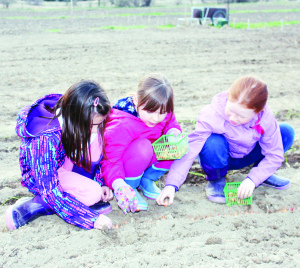 Albion Hills Community Farm draws lots in the way of volunteer effort. Members of the 2nd Bolton Girl Guides were at the farm recently, planting onions. Rylee Arnold, Kendra Ageropoulos and Samantha Corleth are seen here hard at work.