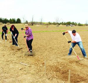 Mars Food Corporation volunteers Spencer Jean, Siobhain Hennigan, Lisa Taillefer and Jay Jackson were hard at work at Albion Hills Community Farm recently.
