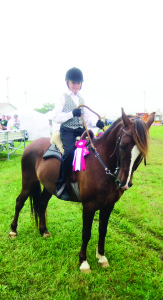 There were many classes in Saturday's Gaited Horse Show. Nate Meakins, 10, of Stirling, Ontario, won the Paso Pleasure Novice class aboard Traner, a paso fino.