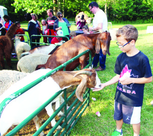 There were plenty of opportunities for residents of Caledon and the surrounding area to mark Canada Day last week. Albion Hills Conservation Area was the site of its annual big celebration and there was a large crowd out to take in all the fun. Joshua Urra, 9, of Bolton was making friends was some of the animals in the petting zoo. Photos by Bill Rea