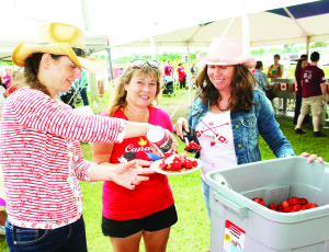 What would a Strawberry Festival be without strawberries? Nine-year volunteer Angie Saylors and Christine Starling of Shelburne were serving Ewa Kazzkowski.