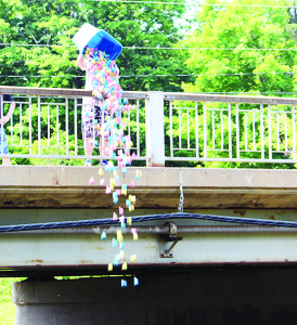 The Duck Race along the Credit River drew lots of attention. Ken May was dropping the ducks off the bridge.