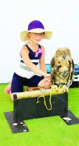 There were some interesting animals to see, courtesy of King Sport Environmental and Falconry in Caledon East. Hailey Schell, 8, of Cambridge, got to meet Edwina, four-and-a-half month old great horned owl.