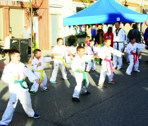 There was lots to see and do Friday night as Midnight Madness returned to Bolton for another year. There was a big crowd out for the annual evening festival, put on by the Bolton Business Improvement Area (BIA). The attractions included demonstrations by members of Bolton Taekwondo.