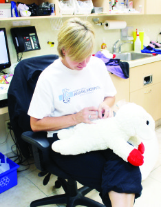 OPEN HOUSE AT VET CLINIC North Hill Animal Hospital in Bolton was the scene of a recent open house, enabling the public to get an inside look at some of the services provided there. It's not just the live animals that get care. Veterinary technician Bonnie Tatton was doing a bit of repair work n Lamb Chop, the stuffed toy of Becky, the dog of clinic manager Cheryl Base. Photo by Bill Rea