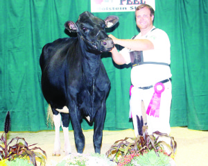 Kyle Carberry of Caledon showed Lachancia Elaborate Titane to top spot in the 4-H calf competition in the Holstein Show.