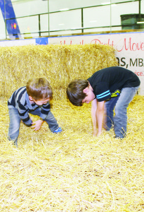 A fall fair is a great place to go if you want to play around in the hay. Marco Nefrio, 3, of Caledon East and his brother Luca, 7, found that out.