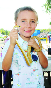 There was lots of hands-on learning opportunities at the booth run by Elephant Thoughts. Ethan Smercina, 6, of Caledon East, got to hold this butter corn snake, named Buttercup, belonging to Elephant Thoughts.