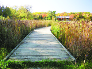 The colours are spectacular this time of year around Terra Cotta Conservation Area. Photo by Jon Clayton, CVC