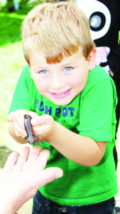 Of course there were salamanders at the Belfountain Salamander Festival. Will Winters, 5, from the Belfountain area, did seem a little reluctant to hold this Jefferson salamander, but he did.