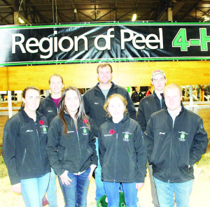 Peel 4-H members were getting ready for competition at the Royal. Seen here (left to right) are Allison French, Kori deBoer, Ashley Wilson, Kyle Carberry, Kathryn Macrae, Curtis Ruta and Geoff Carberry. Photos by Bill Rea