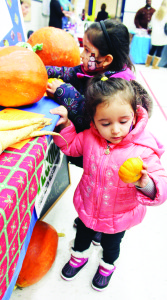 Rehmat Dhillon, 3, of Caledon and her sister Mahi, 2, were pretty intrigued with some of the items they found at the table being run by Albion Hills Community Farm.