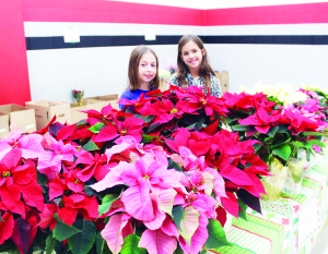 Christmas Market at St. John Paul II There was no shortage of vendors showing their wares last Friday as St. John Paul II Elementary School in Bolton hosted the In the Nick of Time Christmas Market. Grade 5 students Ella Millar-Maggi and Victoria Kolb were in charge of this very colourful table, selling poinsettias. Photos by Bill Rea
