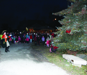 Many out for Jinglewood There was a large crowd out Sunday evening for Jinglewood, put on by the Village of Inglewood Association. Town Crier Andrew Welch was on hand to lead the count down to the lighting of the large tree.