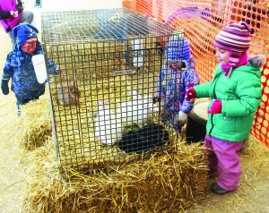 Many animals are there to be seen, including these rabbits, which were pretty interesting to Austin Botham, 2, of Bolton, McKinley Bettles, 2, of Georgetown and Charli Hilts, 4, of Georgetown.