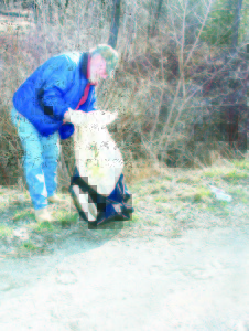 TROUT UNLIMITED HELPS CLEAN UP Members of the Greg Clark Chapter of Trout Unlimited were out around Sligo Bridge on McLaughlin Road, north of Inglewood, Saturday cleaning up litter. Former chapter president Brian Greck said they have agreements with local property owners to access their land for fishing purposes, and part of the return is these clean-ups. Steve Copeland of Belfountain was pulling out garbage from the side of the road. Photo by Bill Rea