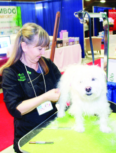 Nancy Bryson of Dogs by Bryson Grooming was putting on dog-grooming demonstrations at the Home Show over the weekend. She was working here on her own dog, Willow.