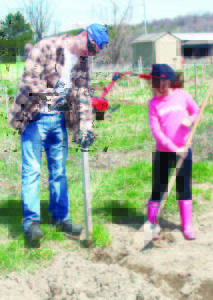 Claudio Chiappette of Bolton was getting some help from his daughter Samantha, 8, as they were getting their farm plot ready. They are first-time farmers, and are planning to plant tomatoes, peppers and strawberries.