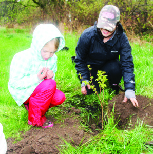 TREES PLANTED IN INGLEWOOD There are probably some advantages to planting trees in the rain, assuming one doesn't object too much to getting wet. There were a number of volunteers out braving the weather recently for the tree-planting event being run by Credit Valley Conservation (CVC), Ontario Streams and the Halton Peel Woodlands and Wildlife Group. Rylee O'Blenis, 7, of Orangeville was helping her aunt, Rosie Casalinuovo of Caledon village, get this tree in the ground. Photo by Bill Rea