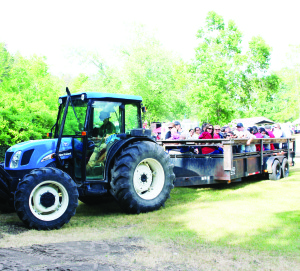 The Canada Day festivities also offered people the opportunity to take hay rides around the area at Albion Hills.