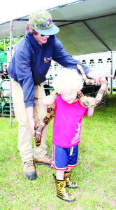 There were some interesting animals that were brought to the Festival by Tiger Paws Exotics. Spencer Powers was helping introduce this red tail boa named Pinecone to Henry Van Toen, 3, of Bolton.
